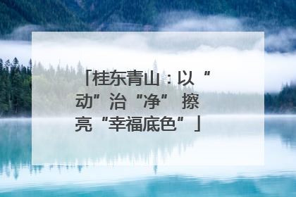 桂东青山：以“动”治“净” 擦亮“幸福底色”