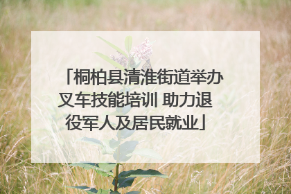 桐柏县清淮街道举办叉车技能培训 助力退役军人及居民就业