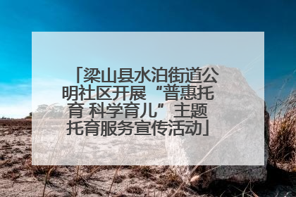 梁山县水泊街道公明社区开展“普惠托育 科学育儿”主题托育服务宣传活动