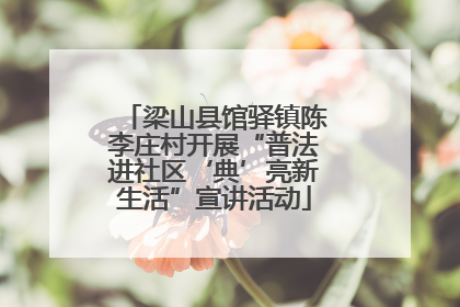 梁山县馆驿镇陈李庄村开展“普法进社区‘典’亮新生活”宣讲活动