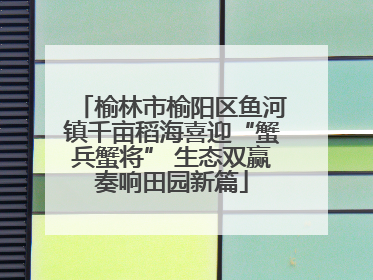 榆林市榆阳区鱼河镇千亩稻海喜迎“蟹兵蟹将” 生态双赢奏响田园新篇