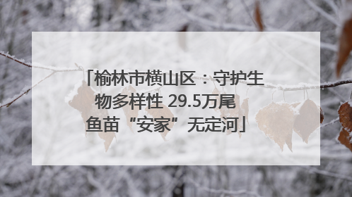 榆林市横山区：守护生物多样性 29.5万尾鱼苗“安家”无定河