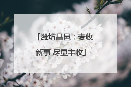 潍坊昌邑：麦收新事 尽显丰收