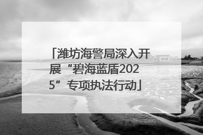 潍坊海警局深入开展“碧海蓝盾2025”专项执法行动