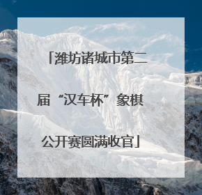 潍坊诸城市第二届“汉车杯”象棋公开赛圆满收官