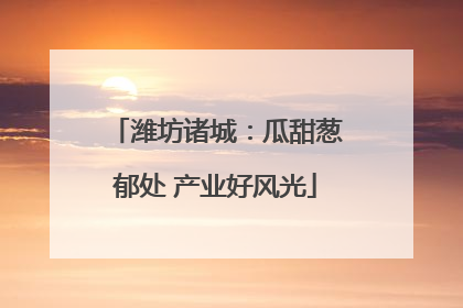 潍坊诸城：瓜甜葱郁处 产业好风光