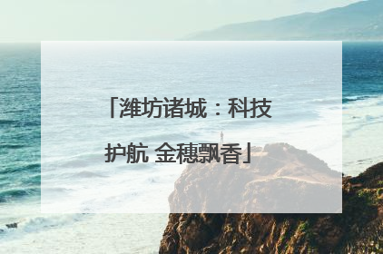 潍坊诸城：科技护航 金穗飘香