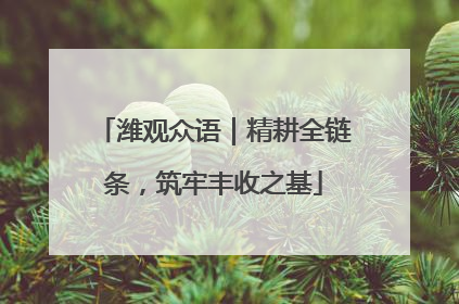 潍观众语｜精耕全链条，筑牢丰收之基
