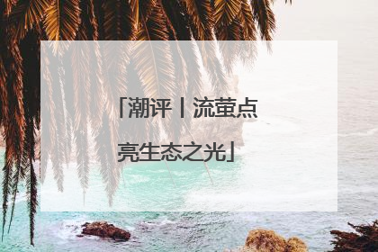 潮评丨流萤点亮生态之光