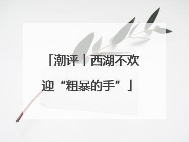潮评丨西湖不欢迎“粗暴的手”