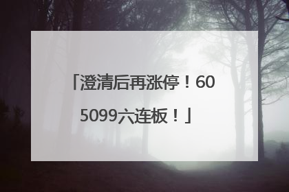 澄清后再涨停！605099六连板！