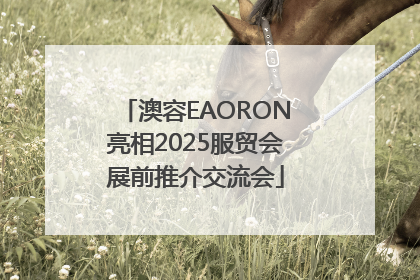 澳容EAORON亮相2025服贸会展前推介交流会