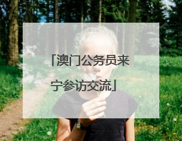 澳门公务员来宁参访交流