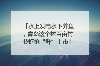 水上发电水下养鱼，青岛这个村百亩竹节虾抢“鲜”上市