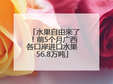 水果自由来了！前5个月广西各口岸进口水果56.8万吨