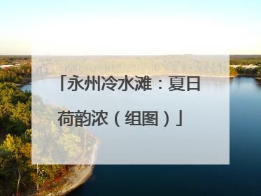 永州冷水滩：夏日荷韵浓（组图）
