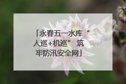 永春五一水库“人巡+机巡” 筑牢防汛安全网