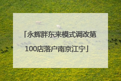 永辉胖东来模式调改第100店落户南京江宁