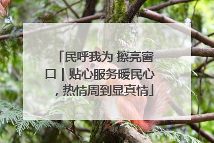 民呼我为 擦亮窗口｜贴心服务暖民心，热情周到显真情