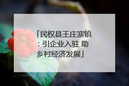 民权县王庄寨镇：引企业入驻 助乡村经济发展