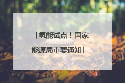 氢能试点！国家能源局重要通知