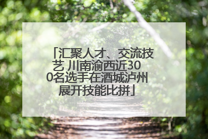 汇聚人才、交流技艺 川南渝西近300名选手在酒城泸州展开技能比拼