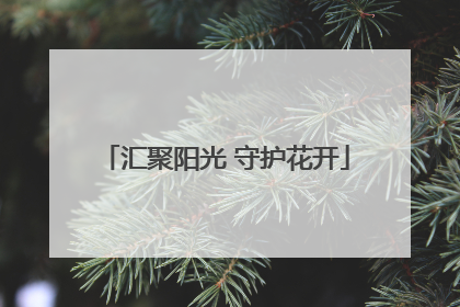 汇聚阳光 守护花开