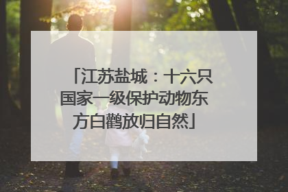 江苏盐城：十六只国家一级保护动物东方白鹳放归自然