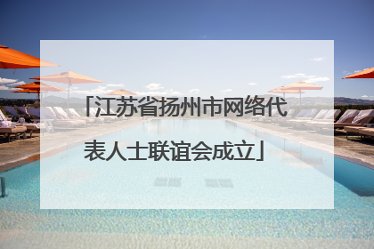 江苏省扬州市网络代表人士联谊会成立