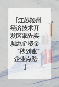 江苏扬州经济技术开发区率先实现惠企资金“秒到账” 企业点赞