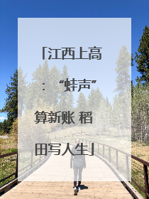 江西上高：“蛙声”算新账 稻田写人生