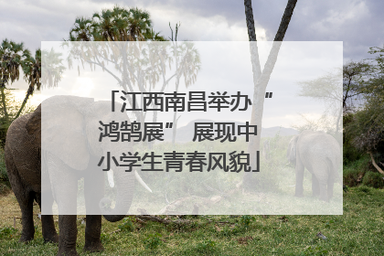 江西南昌举办“鸿鹄展” 展现中小学生青春风貌
