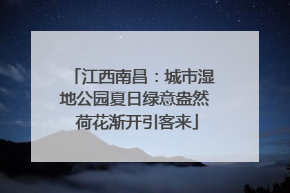江西南昌：城市湿地公园夏日绿意盎然 荷花渐开引客来