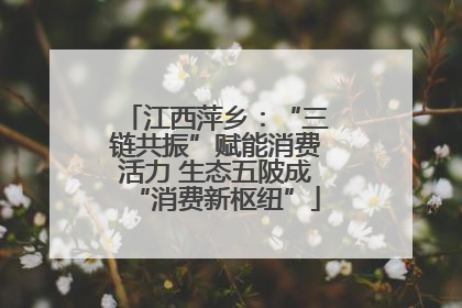 江西萍乡：“三链共振”赋能消费活力 生态五陂成“消费新枢纽”