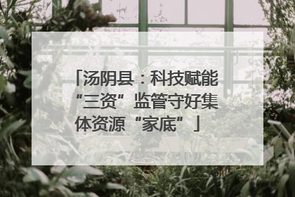 汤阴县：科技赋能“三资”监管守好集体资源“家底”