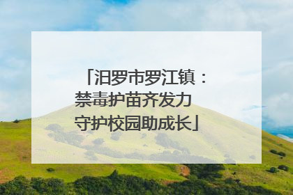 汨罗市罗江镇：禁毒护苗齐发力 守护校园助成长