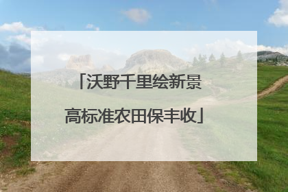 沃野千里绘新景 高标准农田保丰收