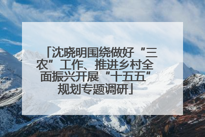 沈晓明围绕做好“三农”工作、推进乡村全面振兴开展“十五五”规划专题调研