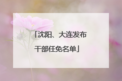 沈阳、大连发布干部任免名单