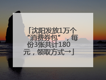 沈阳发放1万个“消费券包”，每份3张共计180元，领取方式→