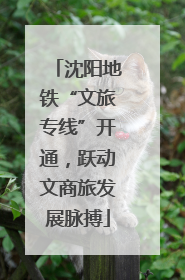 沈阳地铁“文旅专线”开通，跃动文商旅发展脉搏