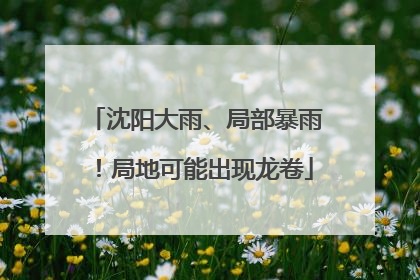 沈阳大雨、局部暴雨！局地可能出现龙卷