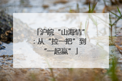沪皖“山海情”：从“拉一把”到“一起赢”