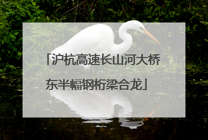 沪杭高速长山河大桥东半幅钢桁梁合龙