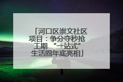 河口区崇文社区项目：争分夺秒抢工期 “一站式”生活圈年底亮相