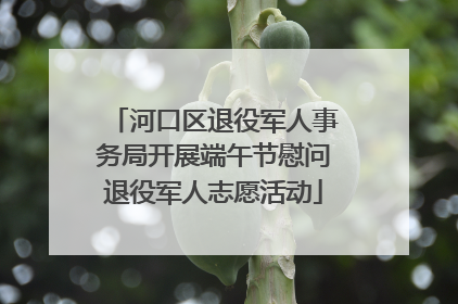 河口区退役军人事务局开展端午节慰问退役军人志愿活动