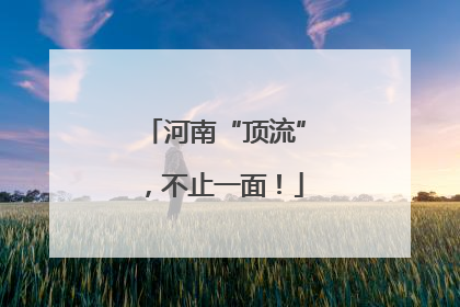 河南“顶流”，不止一面！