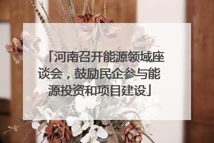 河南召开能源领域座谈会，鼓励民企参与能源投资和项目建设