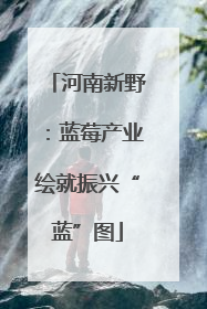 河南新野：蓝莓产业绘就振兴“蓝”图