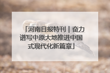 河南日报特刊｜奋力谱写中原大地推进中国式现代化新篇章